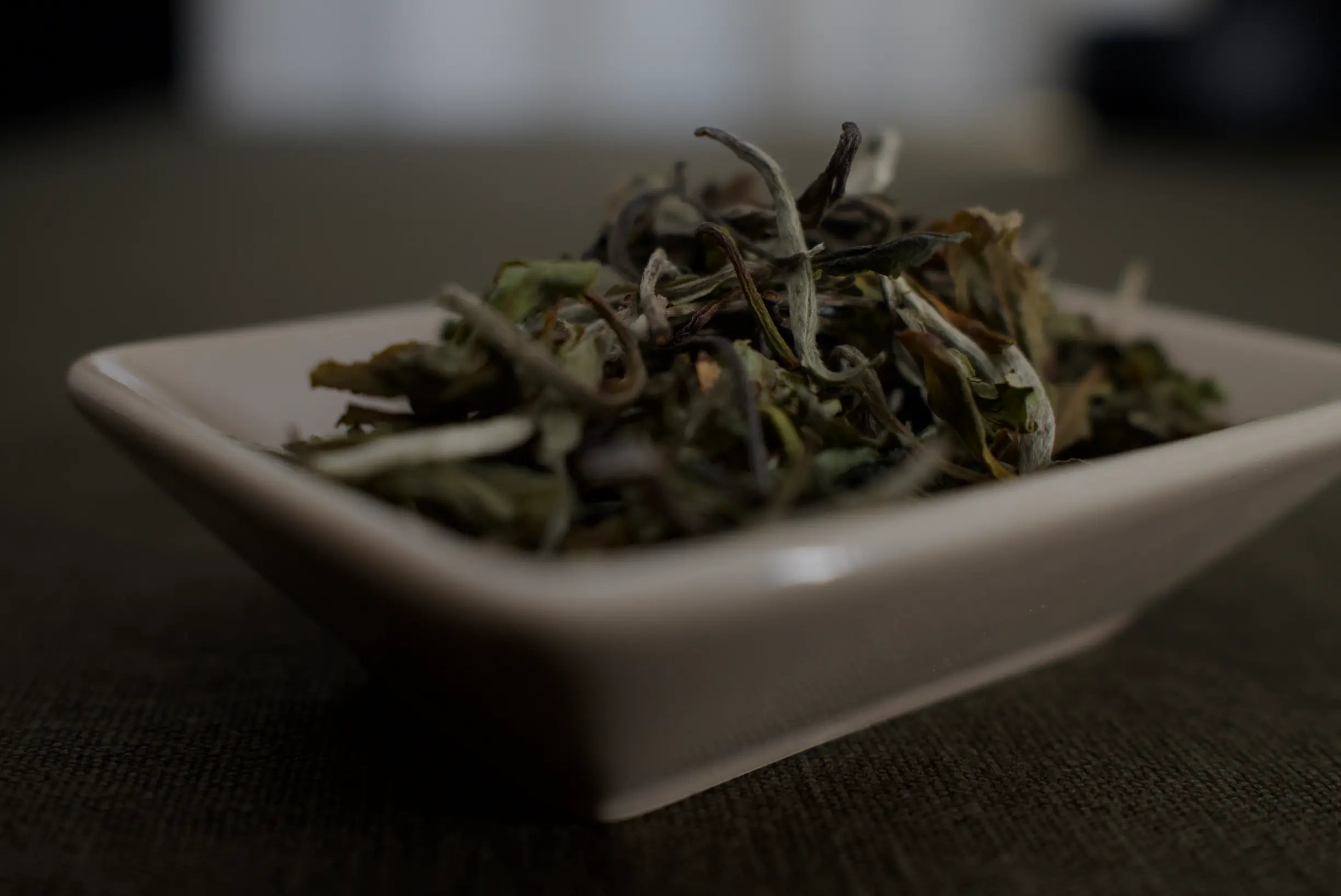 Tee richtig lagern: So bleibt das Aroma lange erhalten - Noema