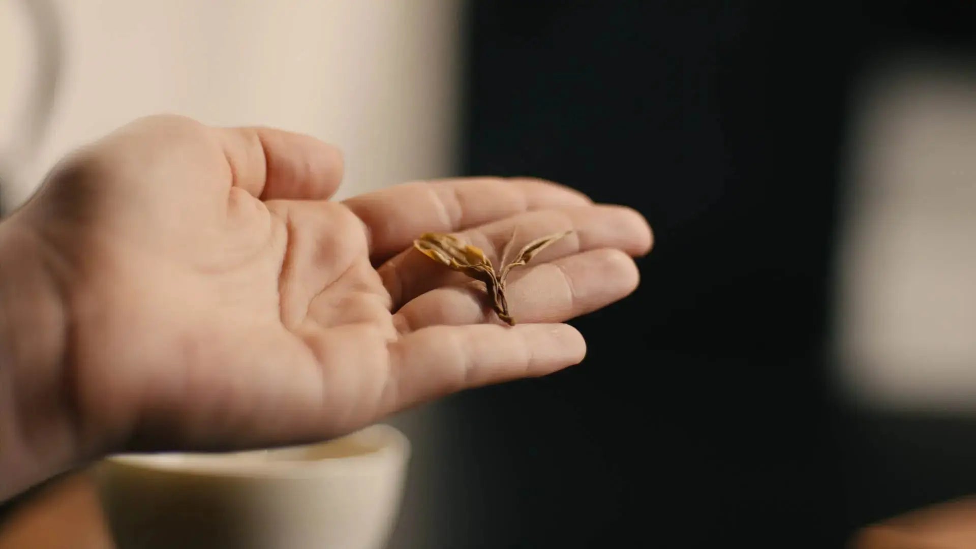 Da Hong Pao Tee: Wuyi Yancha, Felsentee und der Geschmack von „Yan Yun“ - Noema