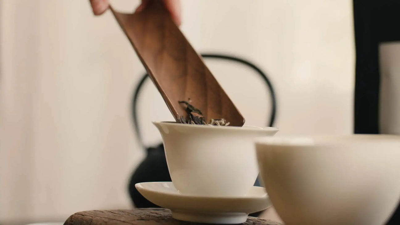 Tee-Sorten im Vergleich: Unterschiede, Geschmack & Wirkung - Noema