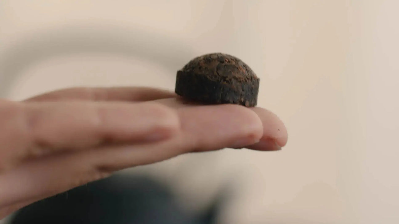 Pu-Erh-Tee: Wirkung, Reifung & Ratgeber für Einsteiger - Noema