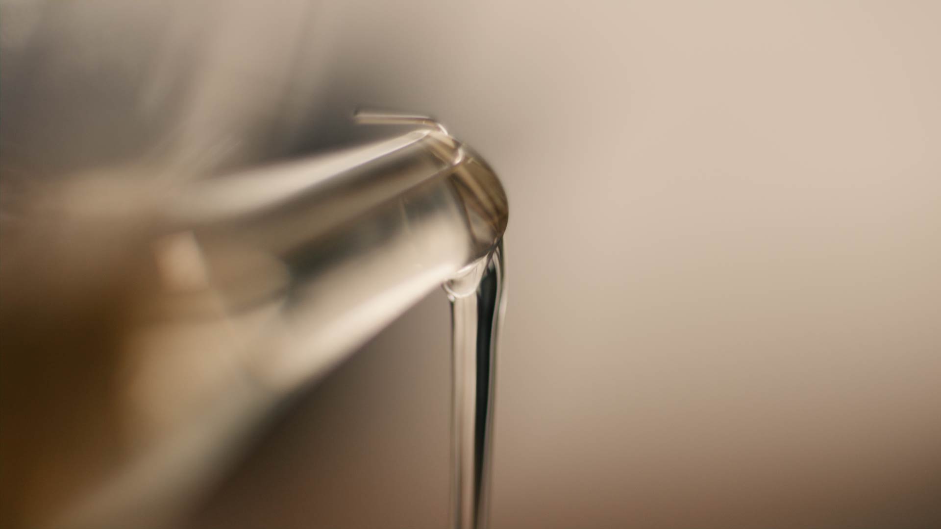 Für Einsteiger:innen