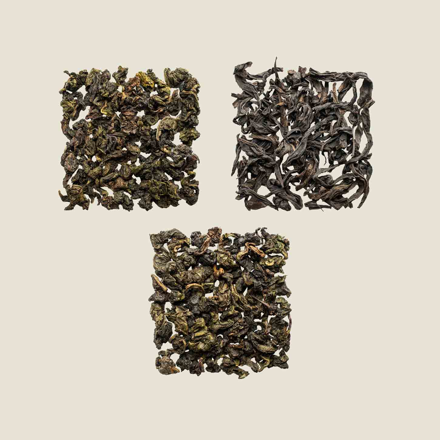 Classic Set Oolong NOEMA