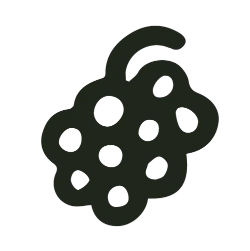 grape-icon - Noema