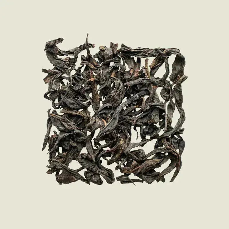 Da Hong Pao - Noema - Loser Tee von oben fotografiert