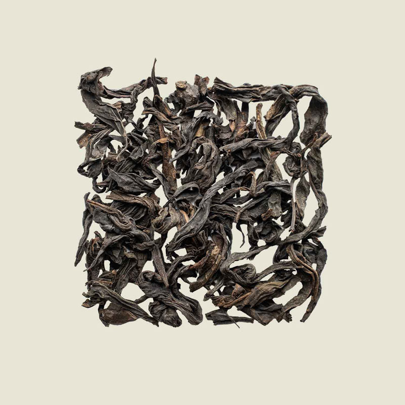 Flach fotografierte Da Hong Pao-Blätter, dunkel geröstet und leicht verdreht – intensiver Wuyi-Oolong von Noema.