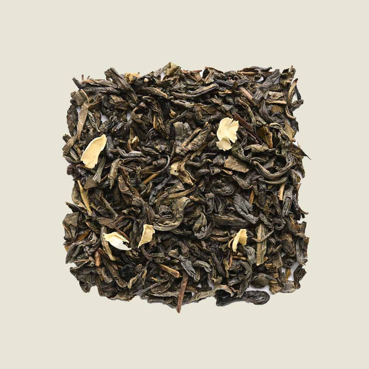 Jasmin OP - Noema - Loser Tee von oben fotografiert