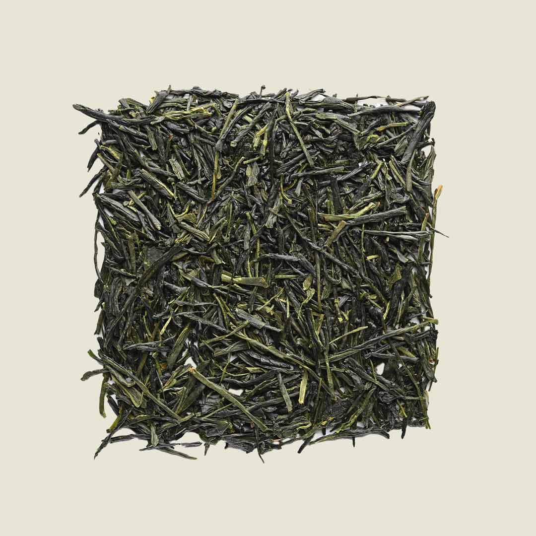 Kabusecha Miyazaki - Noema - Loser Tee - von oben fotografiert