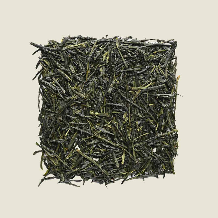 Kabusecha Miyazaki - Noema - Loser Tee - von oben fotografiert