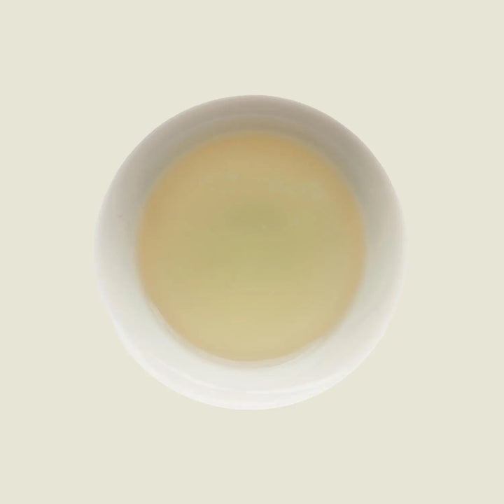 Mao Feng - Noema - Tassenfarbe hellgrün von oben fotografiert