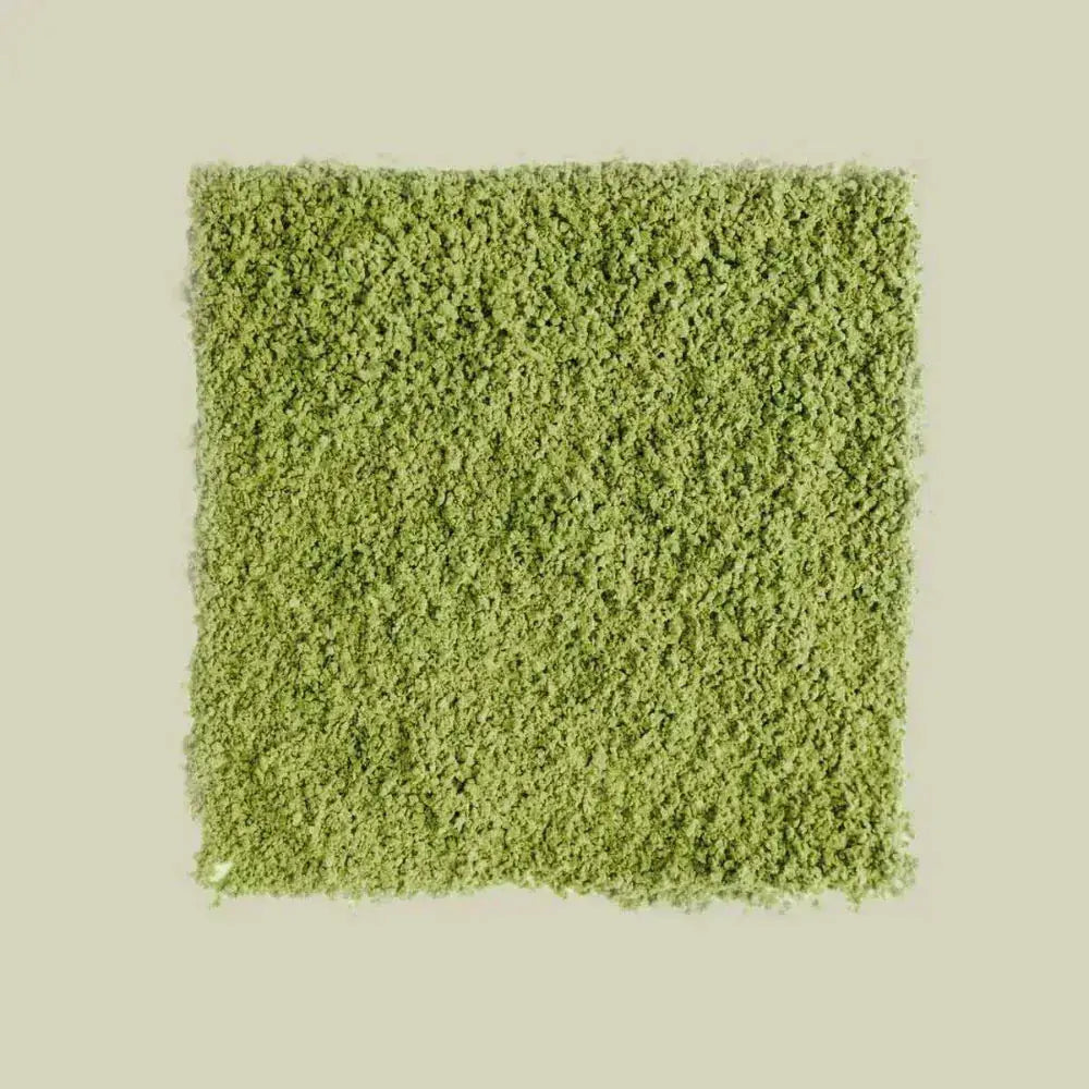 Ceremonial Matcha "Hisui" - Noema