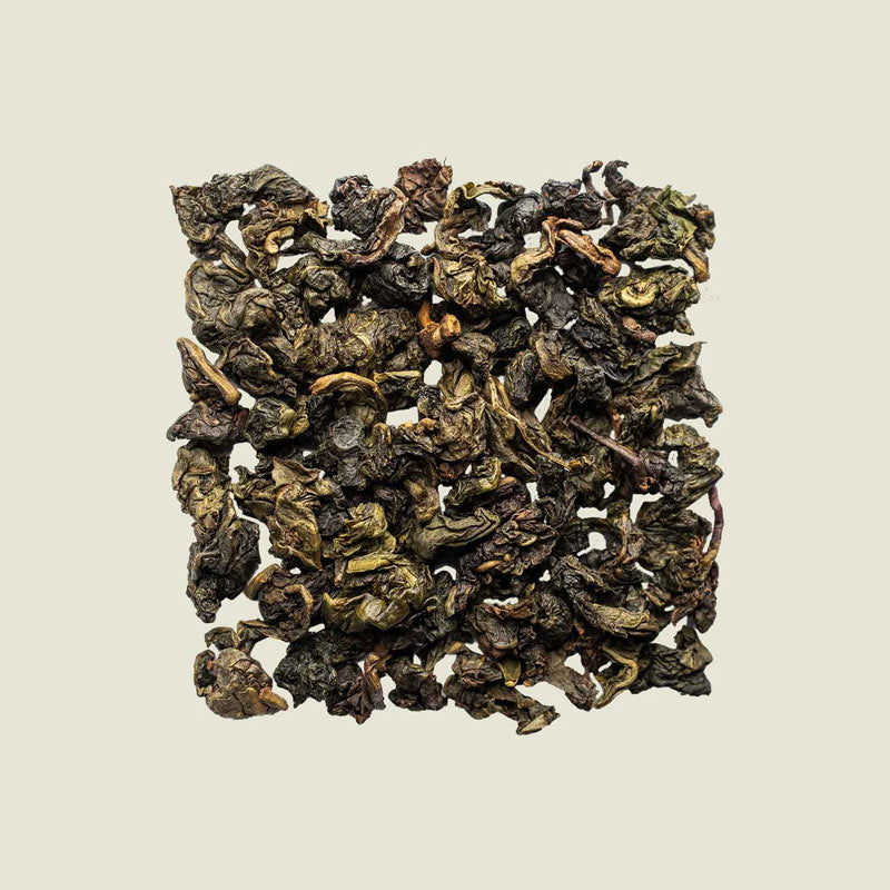 Milky Oolong lose ausgelegt, cremig anmutende Blätter mit zarten Rösttönen in der Nahaufnahme – Noema Spezialität.