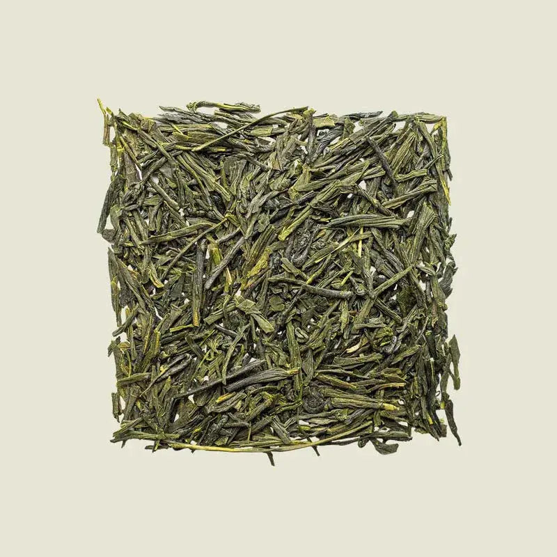 Moonlit Sencha - Noema - Loser Tee von oben fotografiert