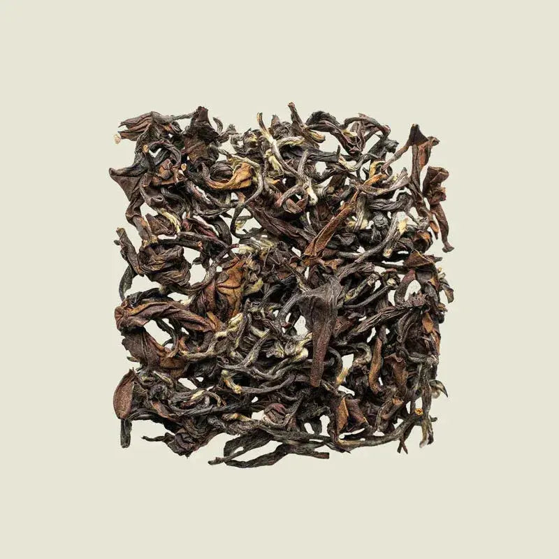 Oriental Beauty - Noema - Loser Tee von oben fotografiert