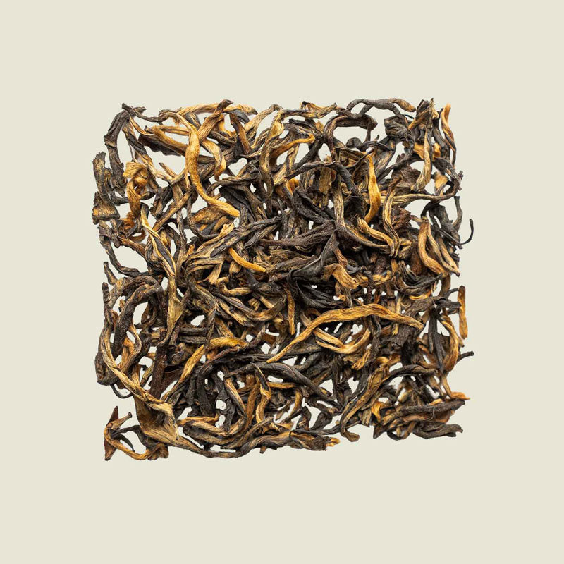 Goldschimmernde Schwarztee-Spitzen lose von oben fotografiert, Special Golden Black in Nahaufnahme – Noema Premiumtee.