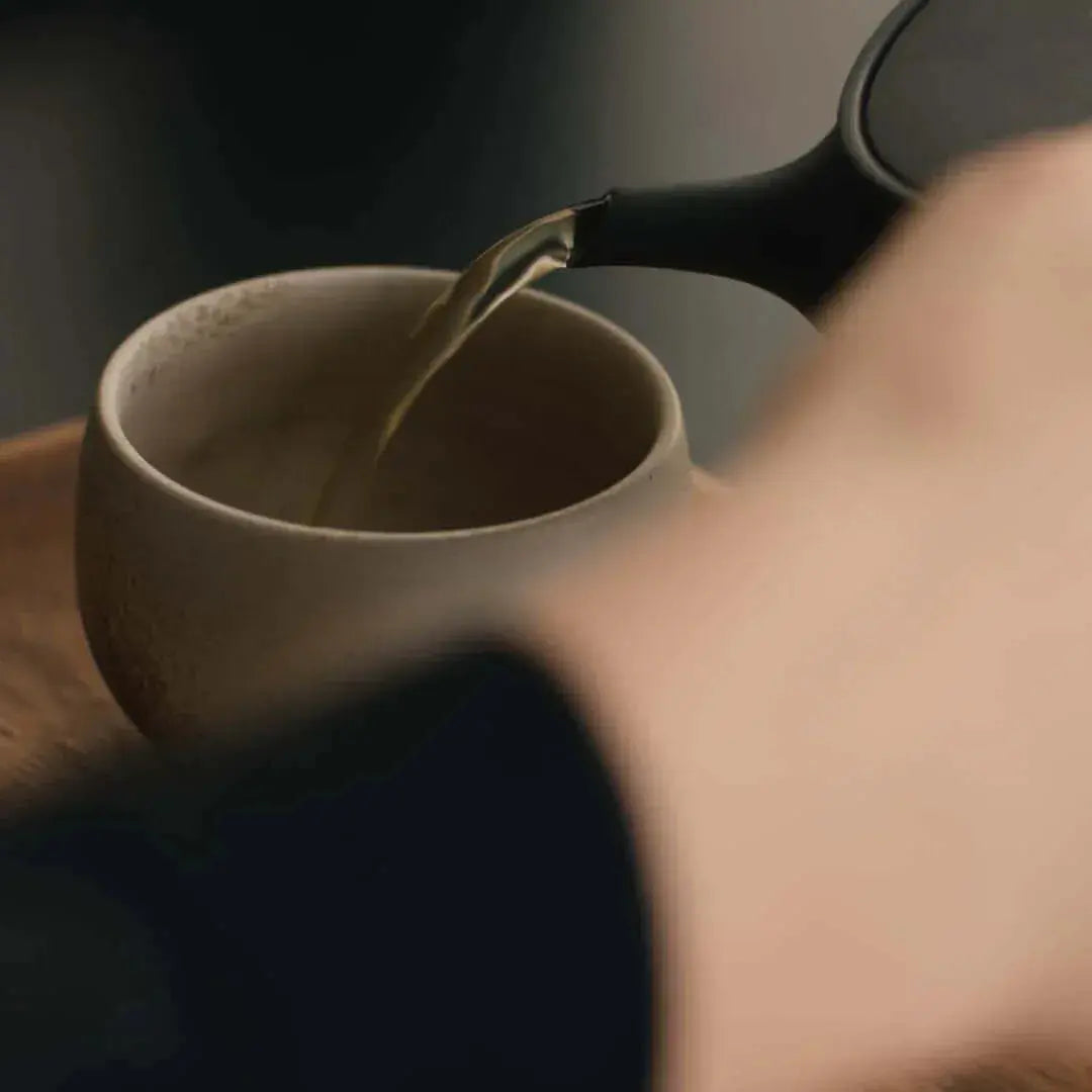 Moonlit Sencha - Noema