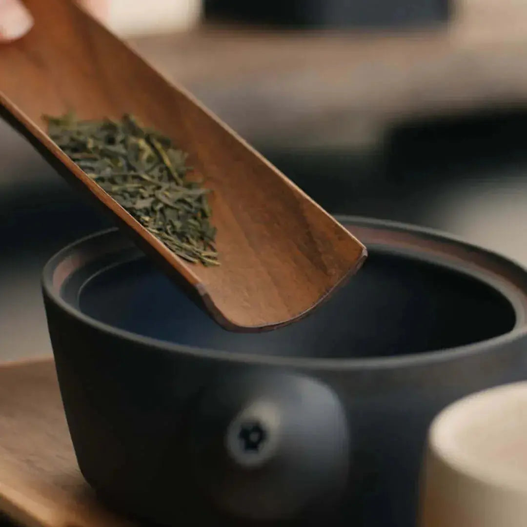 Moonlit Sencha - Noema