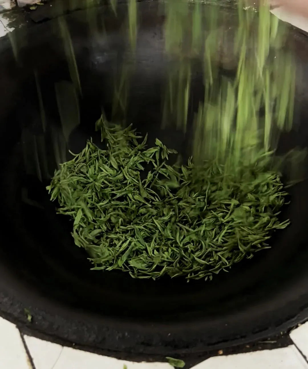 yournoema_gruentee_fertig_getrocknet - Noema