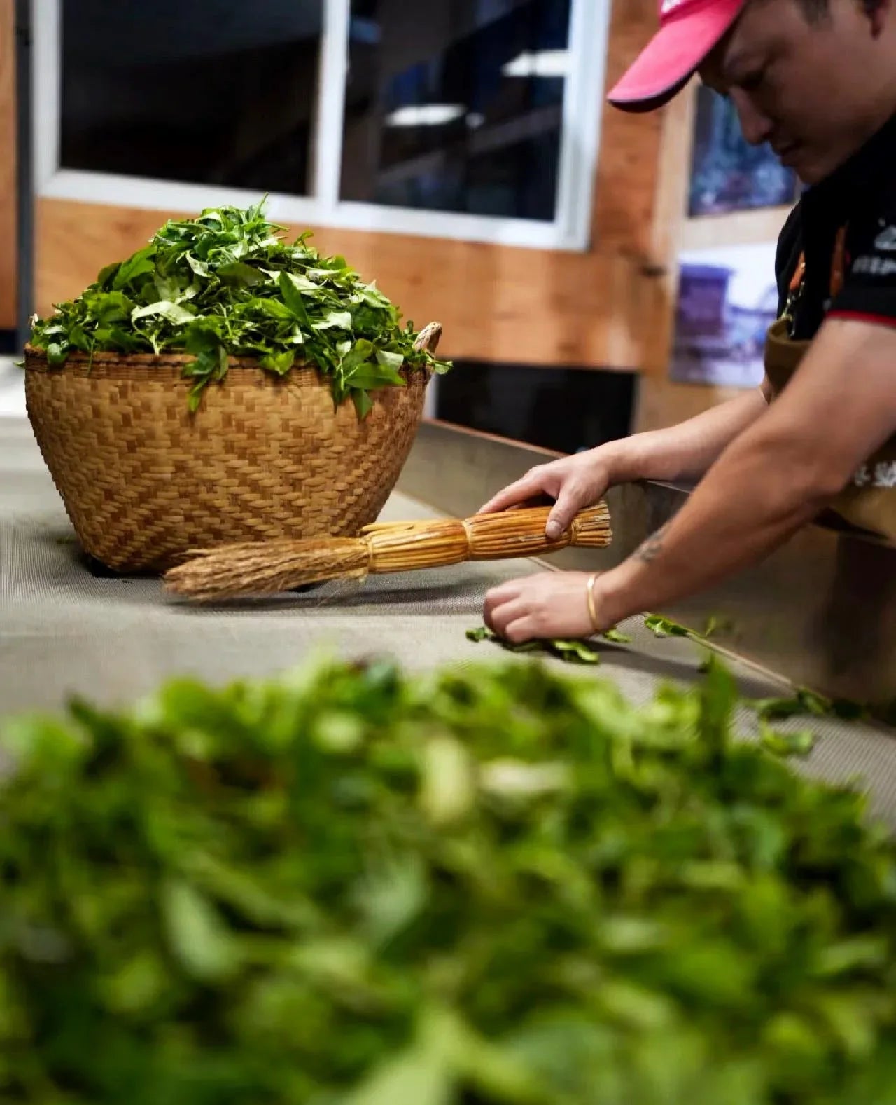 yournoema_puerh_sortierung_und_aussieben - Noema