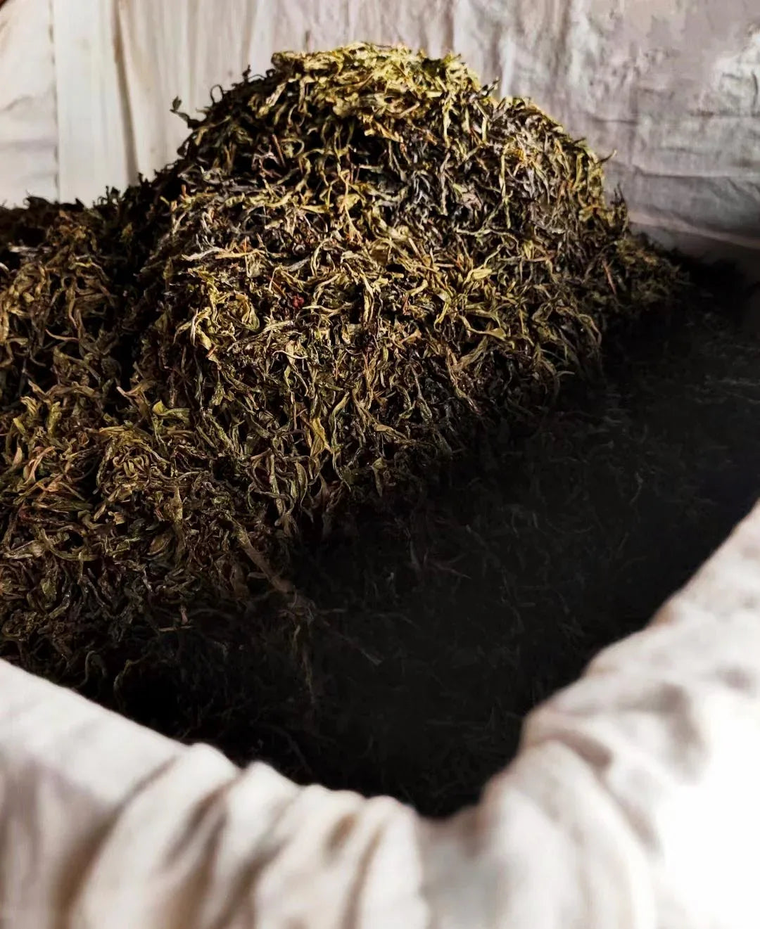 yournoema_puerh_trocknungshaufen - Noema